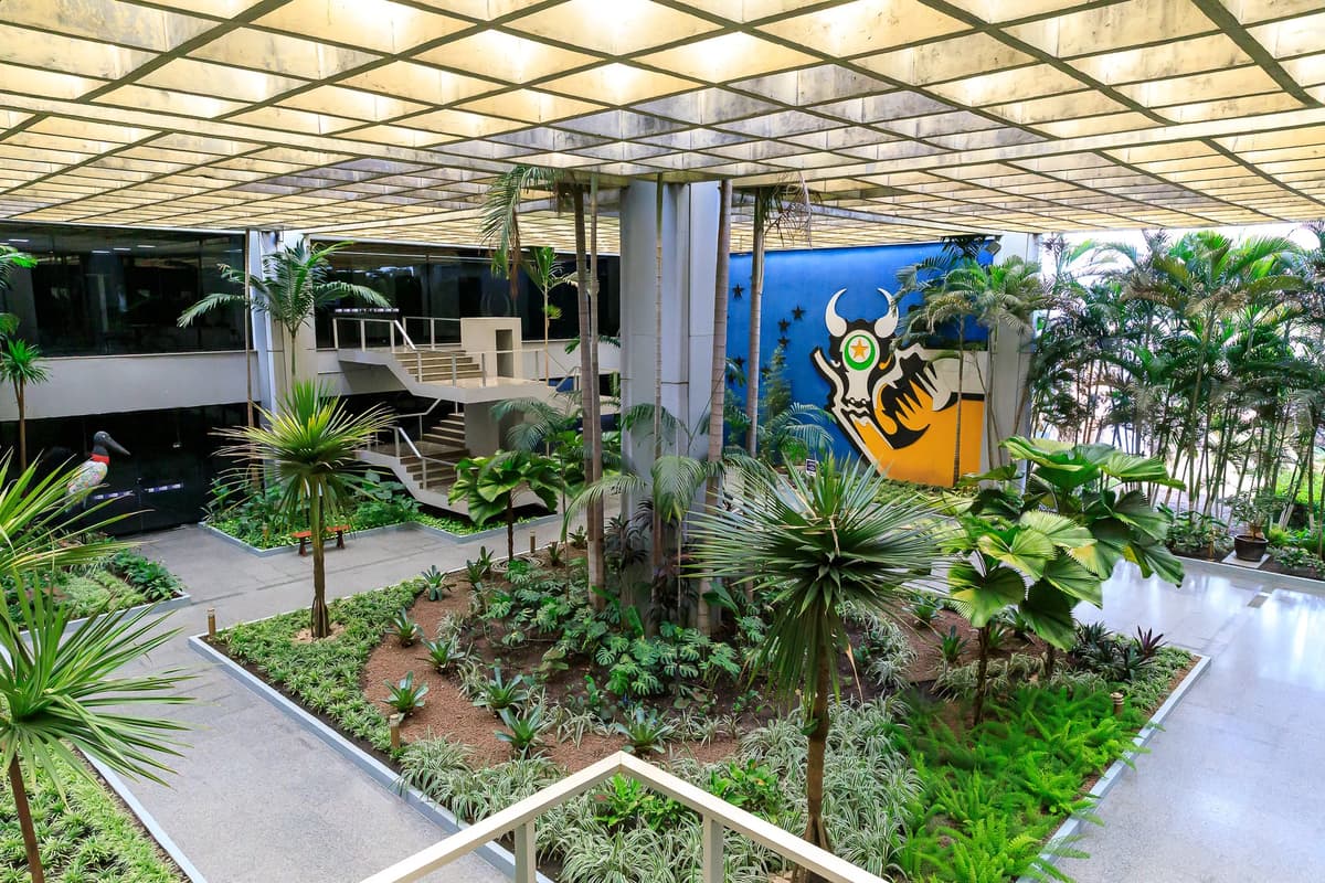 TCE cobra plano para evitar impacto de R$ 1,2 bi do Fethab em MT