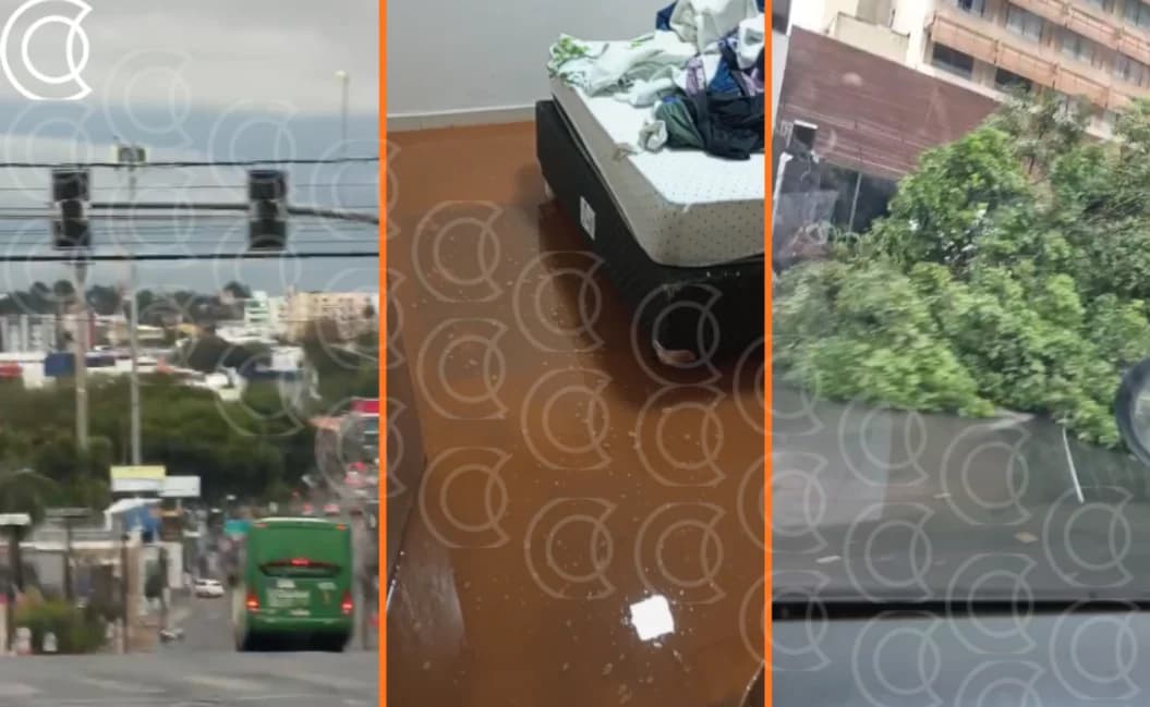 Temporal causa alagamentos, queda de árvore e pane em Cuiabá