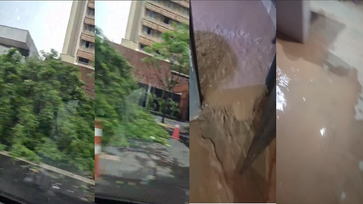 Temporal derruba árvores e alaga casas na madrugada em Cuiabá