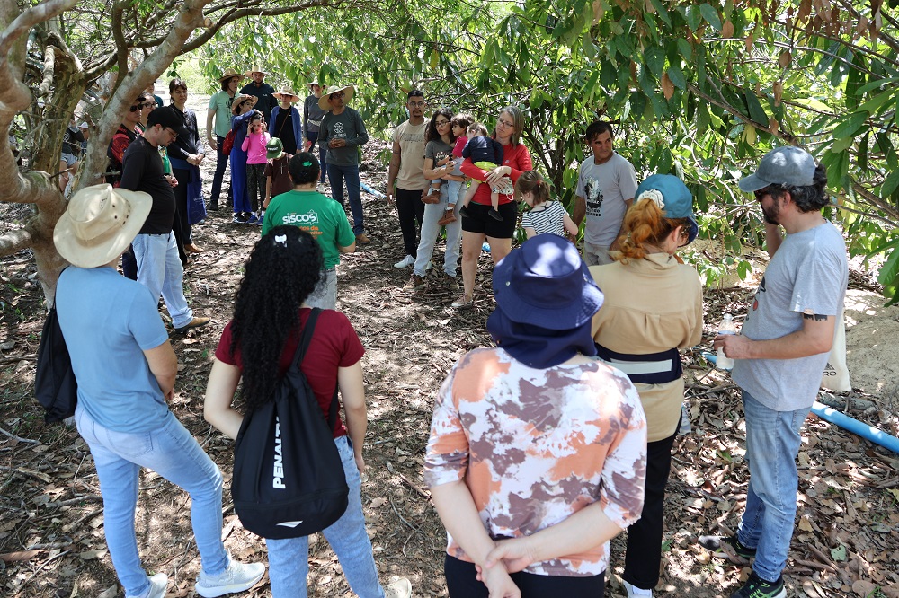 Turismo rural comunitário aproxima consumidores e agricultores em Carlinda