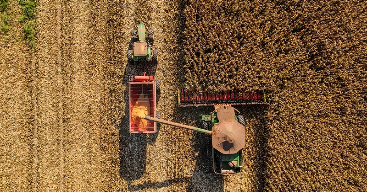 UPF/MT sobe em novembro, mas agro de Mato Grosso mantém taxa antiga