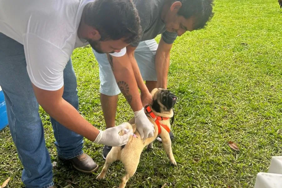Vacinação antirrábica porta a porta em Chapada dos Guimarães